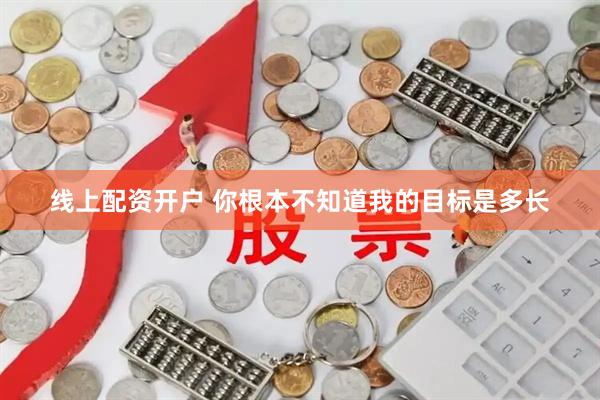 线上配资开户 你根本不知道我的目标是多长