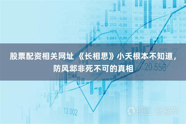 股票配资相关网址 《长相思》小夭根本不知道，防风邶非死不可的真相